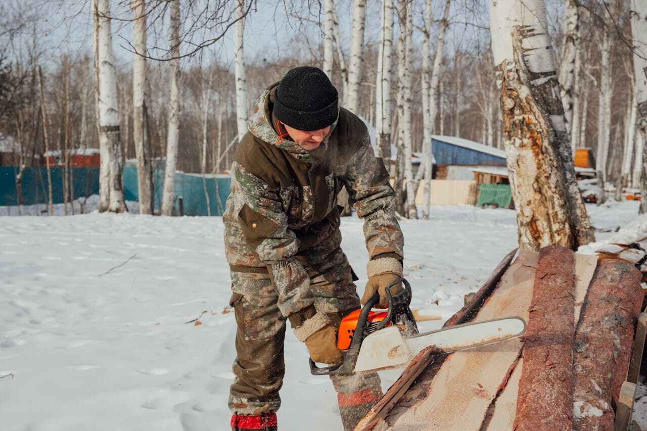 Tree Removal for Businesses in Pikeville, TN